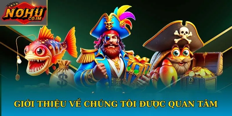 Giới thiệu về chúng tôi được quan tâm